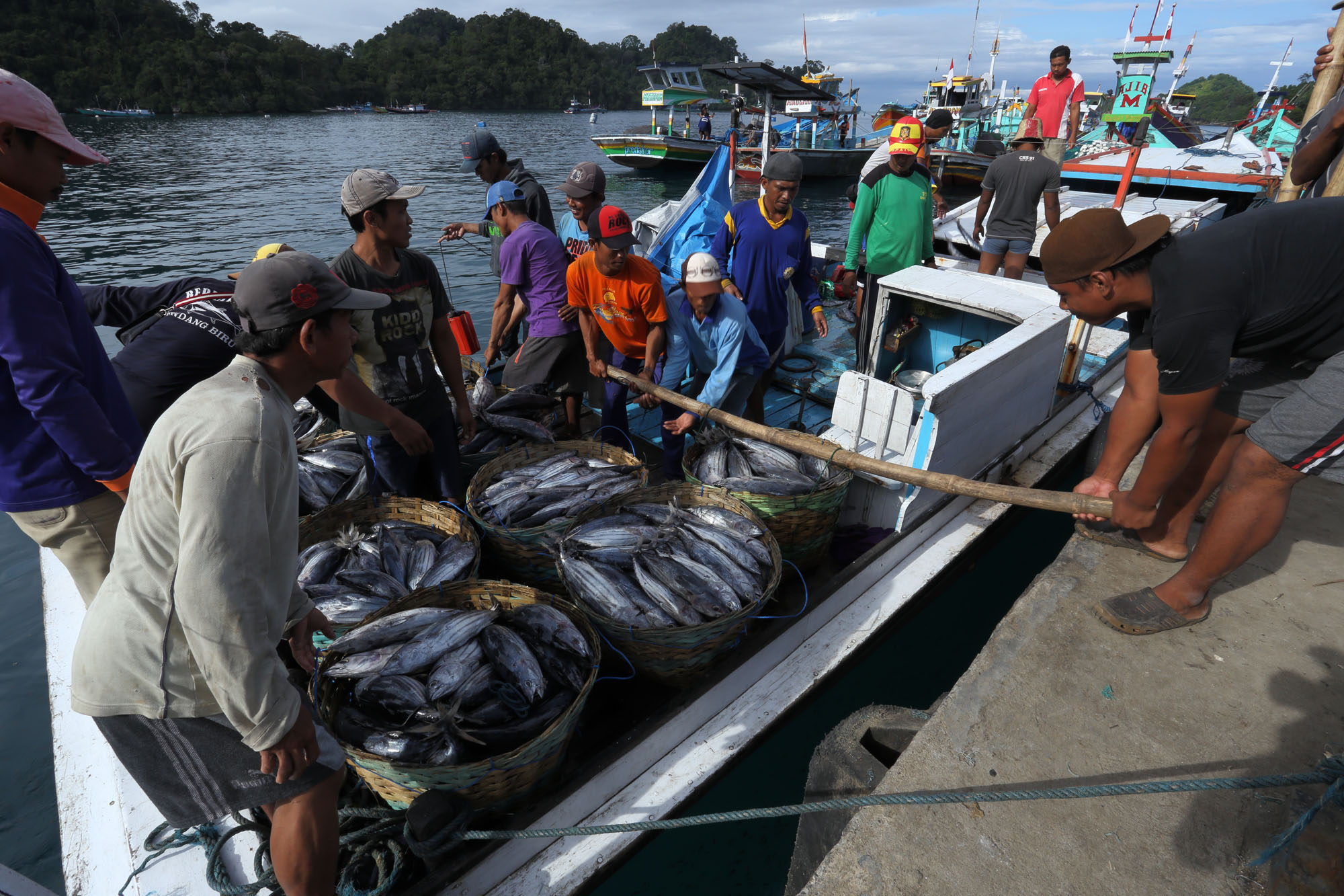 Anggota JARING-Nusantara Tegaskan Komitmen Menentang IUU Fishing